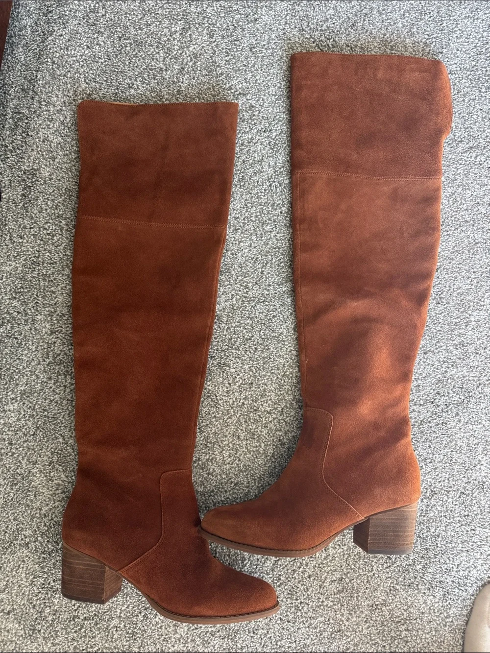 Corso Como Women's Over-the-Knee Suede Boot in Chestnut Brown
